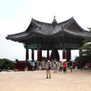 굴암농장 티스토리