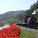 산장기차여행 이미지