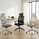 모닝글로리 이미지