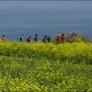 적벽강마을 이미지