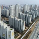 대전 2537 대전일보