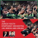 스위스 취리히 유스 심포니 오케스트라 내한공연 이미지