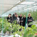 홍수농장 이미지