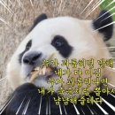 달콤한지금 - 양산시 범구로 14 | 달콤한지금