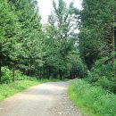 상관편백숲 공영주차장 이미지