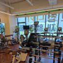 찐 바디핏 이미지