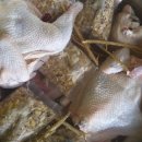 하모니마트앙성점 이미지