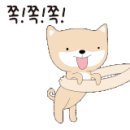 현선농장 네이버블로그