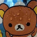 가조고향마을 | Hot summer in 묵호