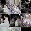 디자인벗 | W. 아이폰 스냅 필름벗 (film but) 본식 계약 후기ㅣ핀터 무드, 빈티지 감성 스냅 추천