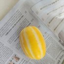 과일101 이미지