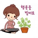 파랑새플러스 이미지