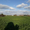 신도2리 경로당 이미지