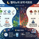 팜네이처스 이미지