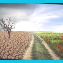 해안식품