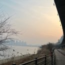 용산-서빙-1847 | 작고 귀여운 2월
