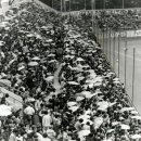 구덕운동장 야구장 이미지