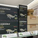 야옹아멍멍해봐 리딩샵 이미지