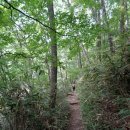 새청이골 | 지리산 천왕봉 산행[거림-천왕봉-중산리코스_170909]