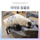 명지바람 | 명지 라라쥬동물원 이용후기