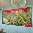 소나무한식뷔페 이미지