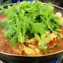 광어생각 이미지