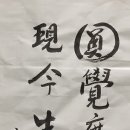 지금 여기 Daum카페