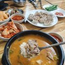 양씨네왕순대 | 부천 고강동 양씨네왕순대 순대맛집 찾은후기
