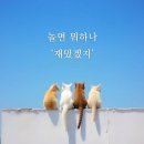 호남중학교 이미지