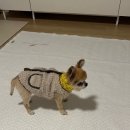 마리네 동물병원 이미지