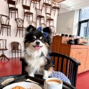 카페템스 이미지