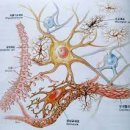 다시 움직임 PT&PILATES 이미지