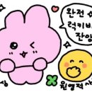 유경스포츠 | 2026생활 체육대축전 씨름대회 후기 유도 도민체전 출전 못하고 씨름 대축전 출전하게 된 썰