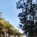 별빛하늘 펜션 이미지