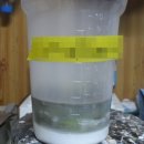 엠케이모터스(MK모터스) 이미지