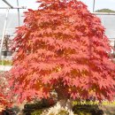 반송농장 이미지