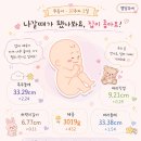[임신기록]임신 37주차 시온여성병원 진료 및 맥시스압박스타킹 후기