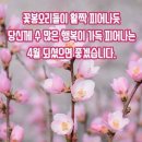 행운 이미지