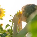 아이토마토한의원 이미지