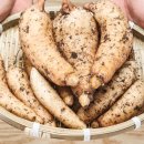 유명농장 이미지