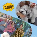 미래펫미용 이미지