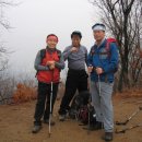 231.2 번개 남한산성 북능 ‘ㄷ’종주 - 밉상이 이미지