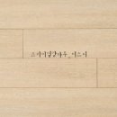 D5인테리어 이미지