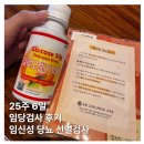 [임신 25주] 송파고은빛 임당검사 후기 (141로 재검 당첨..)