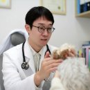 녹양돌봄동물병원 이미지