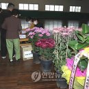 삼보초등학교 입구-2 이미지