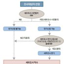 【완료○】2014 제56회 사법시험 기출 1문 - 변호사 사무실 세금탈루 세무조사 사건 이미지