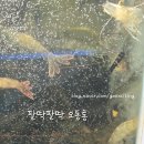 해피주유소 이미지