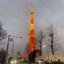 호텔보보(HOTEL VOVO) | [아기랑일본여행] 15개월 아기랑 도쿄여행 쇼핑리스트(돌아기랑 일본여행, 도쿄 쇼핑리스트, 미야시타...