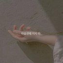 우리수출포장